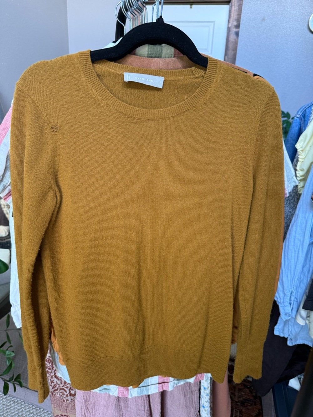Everlane Women's Cashmere Sweater in Mustard, size S